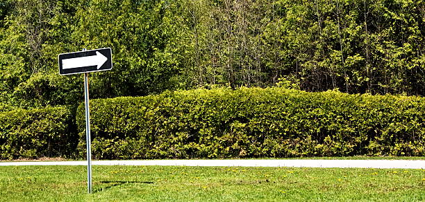 istock Direction Road Sign in Front of Forest 91699422