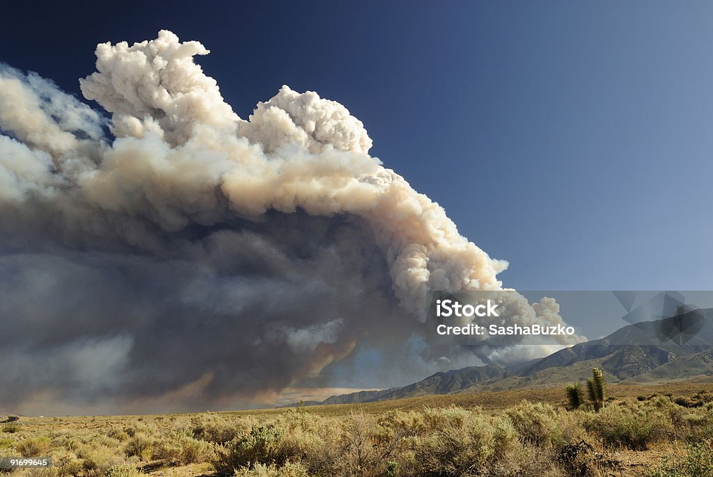 Cloud of smoke from a California wildfire  Forest Fire Stock Photo