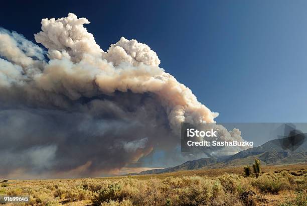 Cloud Of Smoke From A California Wildfire Stock Photo - Download Image Now - Forest Fire, California, Smoke - Physical Structure