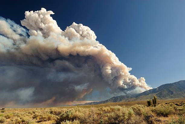 cloud of smoke from a california wildfire - wildfire smoke stok fotoğraflar ve resimler