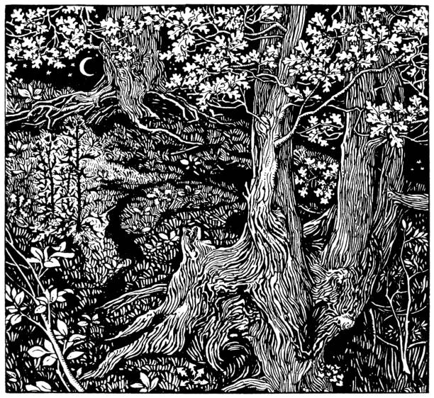 Study of Trees - Mary J. Newill A complicated wood engraving by Mary Jane Newill entitled “A Study of Trees” showing gnarled tree trunks, oak leaves and bushes on a hillside with a crescent moon and stars in the background.  woodcut illustrations stock illustrations