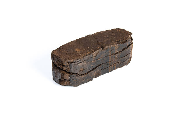 istock Peat briquette isolated on white background, alternative fuels 916997784