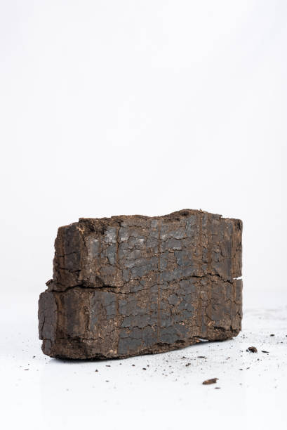 istock Peat briquette on white background, alternative fuels, place for text 916997920