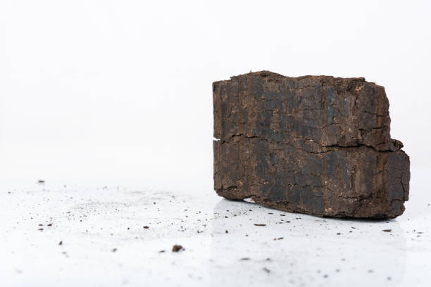 istock Peat briquette on white background, alternative fuels, place for text 916997944