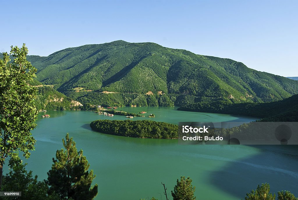 Paysage de lac - Photo de Arbre libre de droits