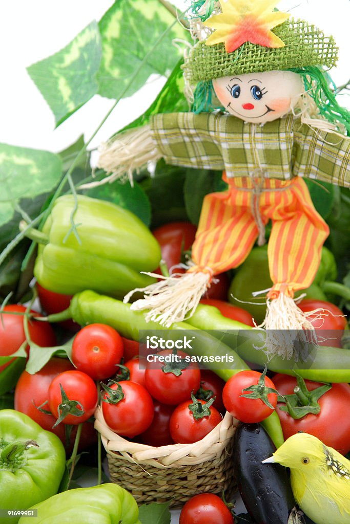 Vogelscheuche über die Gemüse - Lizenzfrei Aubergine Stock-Foto