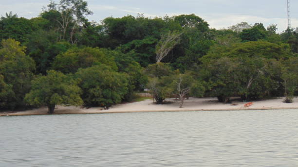 istock ALTER OF CHAO-AMAZONIA-TAPAJOS-PARA-BRAZIL 917003388