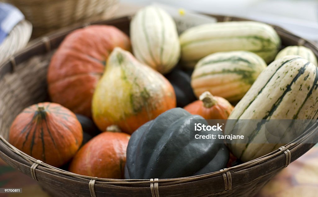 Basket of Gourds at the farmer's market Fresh food at the local farmer’s market. Shallow depth of field. Agricultural Fair Stock Photo