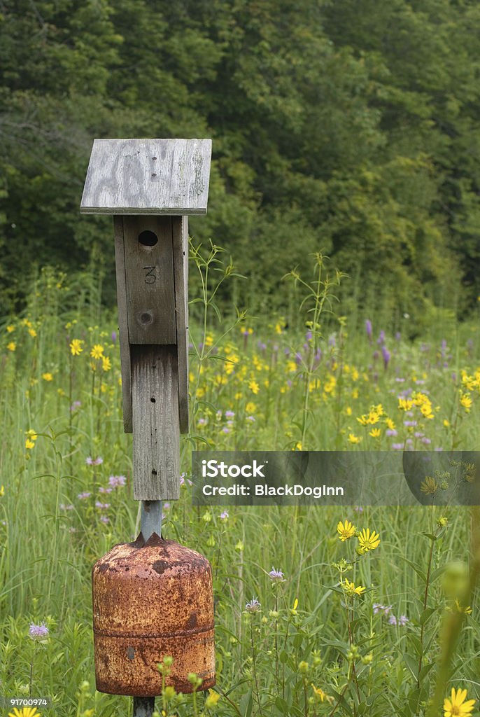 Prairie Casetta per gli uccelli - Foto stock royalty-free di Ambientazione esterna