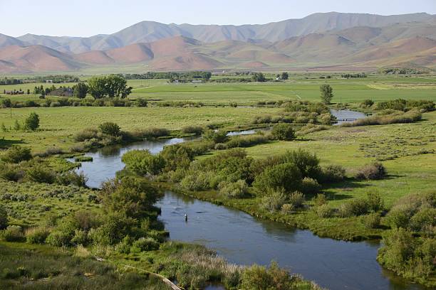 istock Silver Creek in Idaho winding through green paddocks 91700994