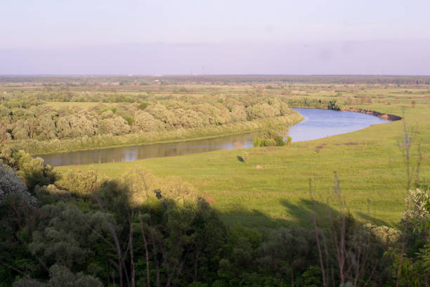 istock Top view of river and green meadow in summer 917013874