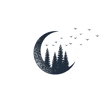 Hand drawn travel badge with crescent and fir trees textured vector illustrations.