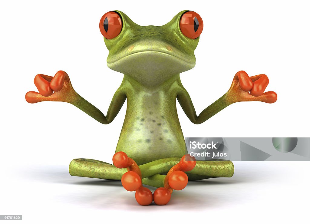 Zen frog  Frog Stock Photo