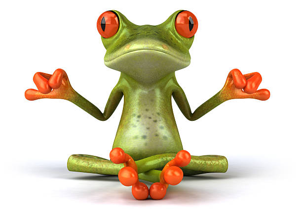 Zen frog stock photo