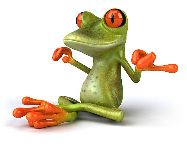 rana zen - frog three dimensional shape animal green foto e immagini stock