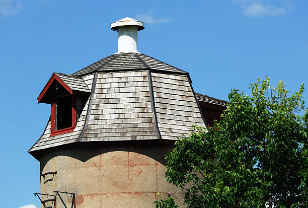 istock Unique Silo with Roof by the Tree 91701691