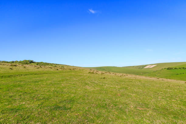 istock Sussex Landscape 917017274