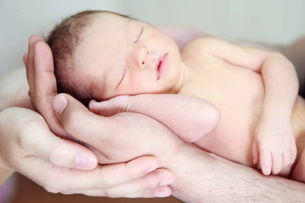 Hands of Father and Mother Holding Newborn Baby Stock Image stock photo