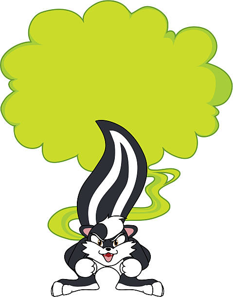 Skunk with noxious fumes  polecat stock illustrations
