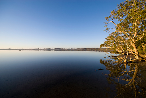 View of the Odiel marshes in Huelva on a clear day