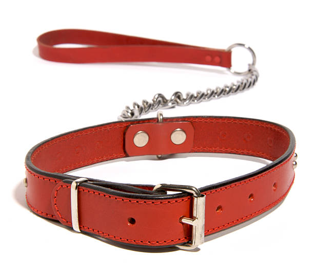 istock Red dog collar and lead 91702515
