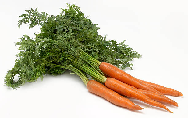 Fresh Carrots stock photo