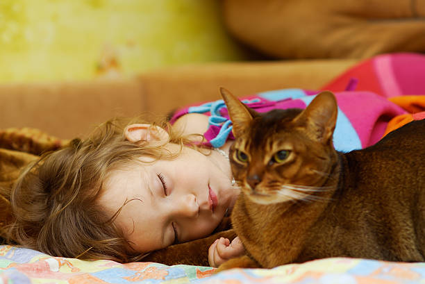 Cat protects dream of child stock photo