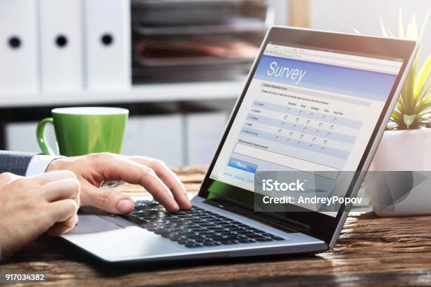 Businessperson Filling Online Survey Form On Laptop Stock Photo - Download Image Now