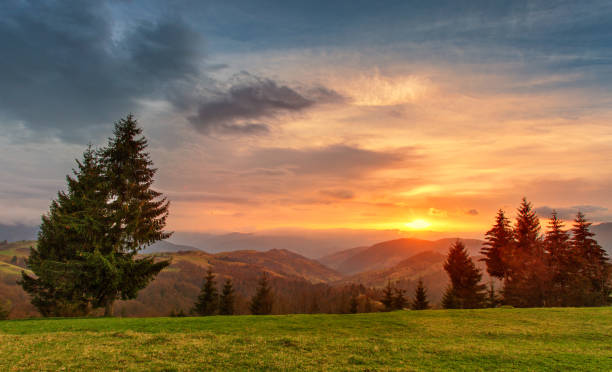 istock Spring colorful sunset. Green hills. Spring landscape 917034588