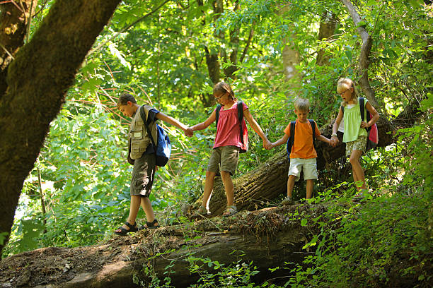 grupo de niños en el bosque a pie de registro - campamento de verano fotografías e imágenes de stock