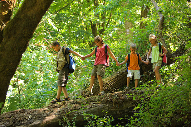 istock Group of kids in forest walking over log 91703676