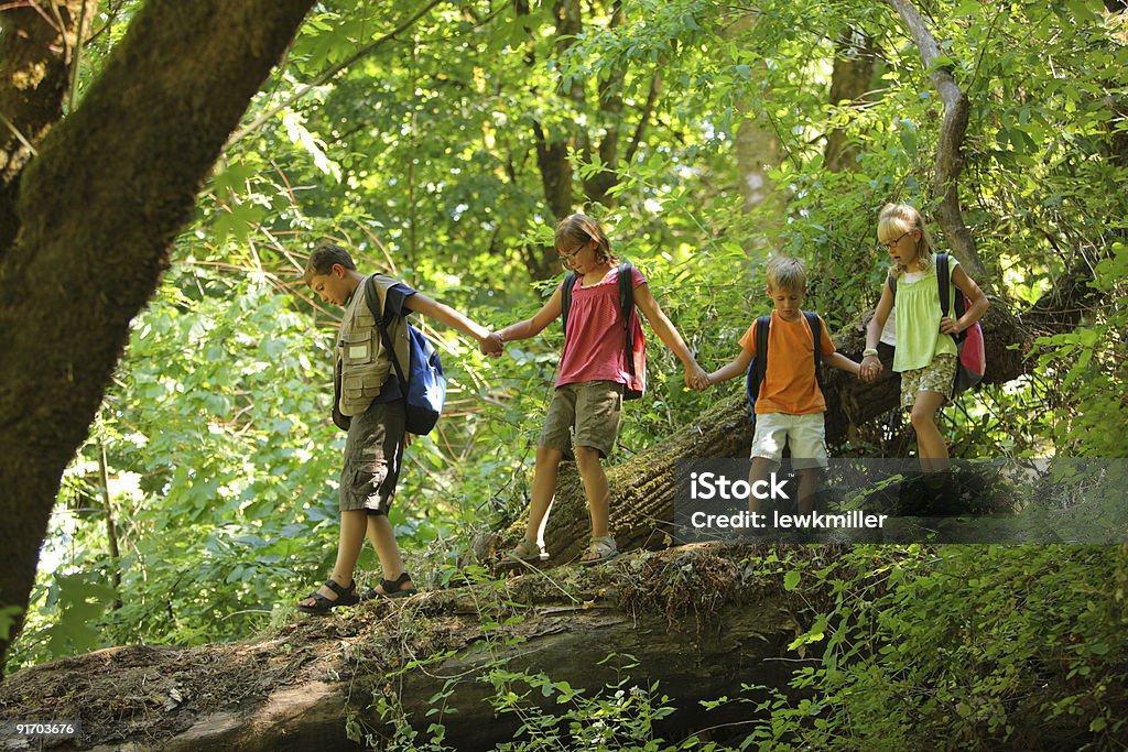 Group of kids in forest walking over log  Child Stock Photo