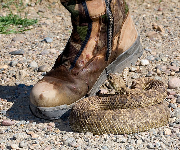 snake head cowboy boots, Men's Snake Skin Boots Boot - 100circus.com