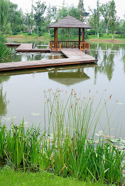 istock Over water pavilion in the garden 91703856