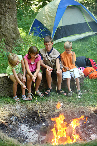 istock Children at campsite roasting marshmallows 91704833