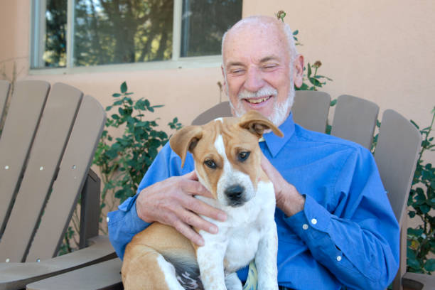 istock Senior Man with Puppy 917053438