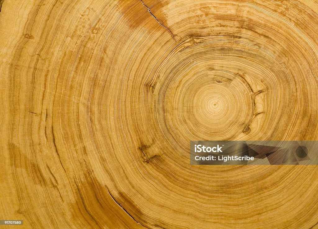 wood grain background  Abstract Stock Photo