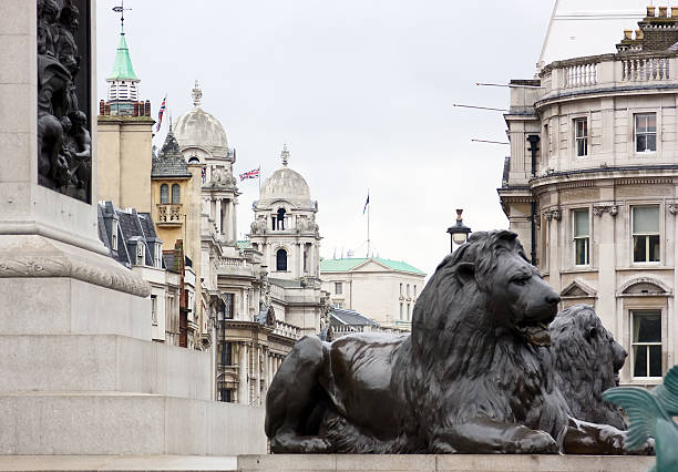 vista da trafalgar square - lion statue london england trafalgar square foto e immagini stock