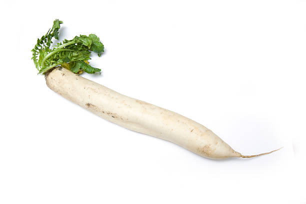 daikon (japanese rábanos) o mooli - radish dikon radish vegetable exoticism fotografías e imágenes de stock