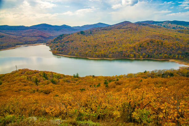 istock a large reservoir, top view. autumn forest and high blue sky, 917079868