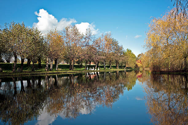 istock Autumn in the Netherlands 91708062