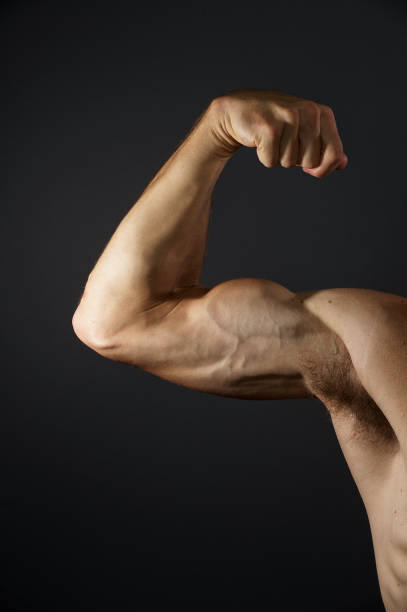istock Muscular Biceps and part of torso 917082588