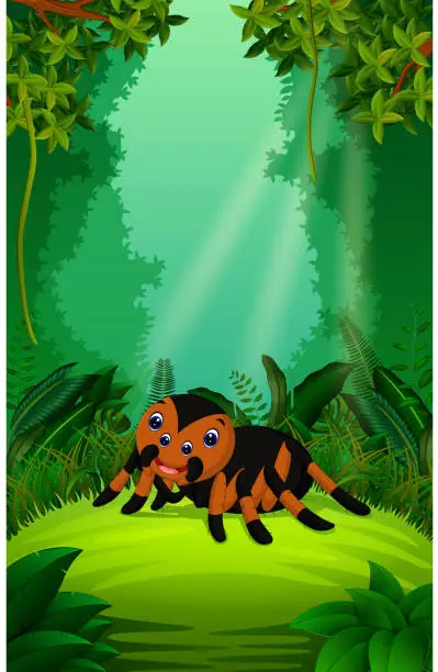 Vector illustration of tarantula in the clear and green forest