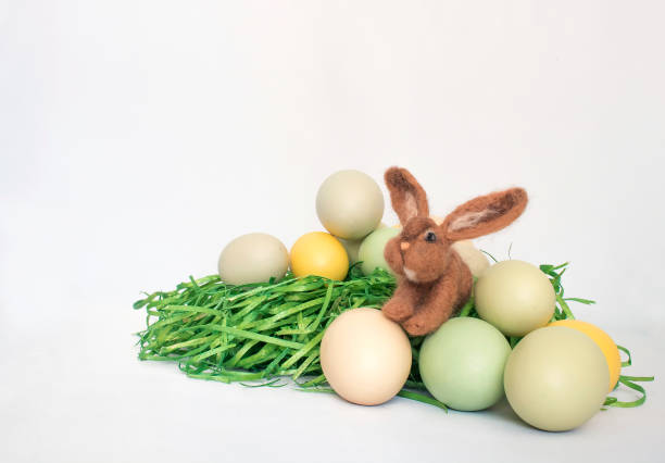 istock Group of Colored Eggs with Tiny Felted Bunny Rabbit and White Background 917093654