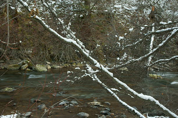 Branches Crossing Stream stock photo