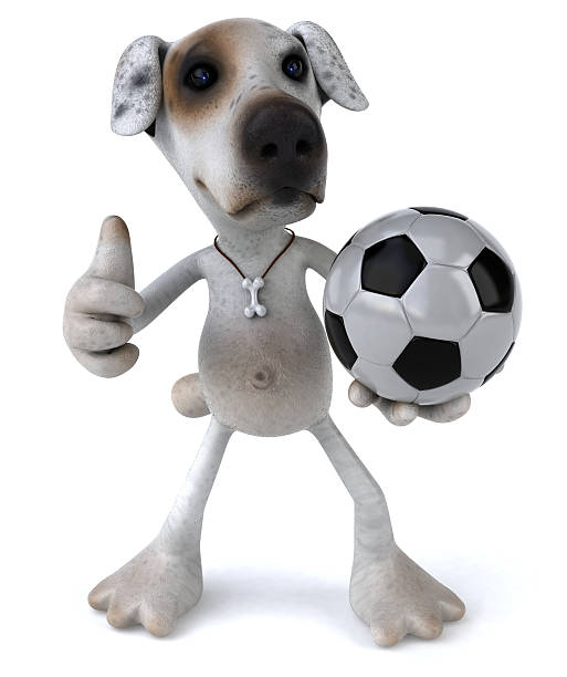 istock Dog playing soccer 91709639