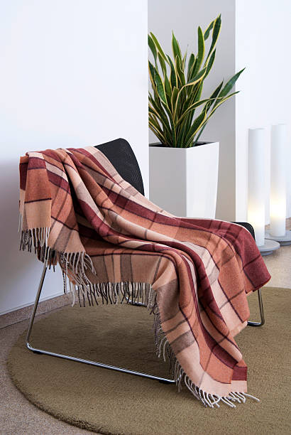 White room with a black chair draped in a red plaid blanket Plaid draped over a chair sanseveria trifasciata stock pictures, royalty-free photos & images
