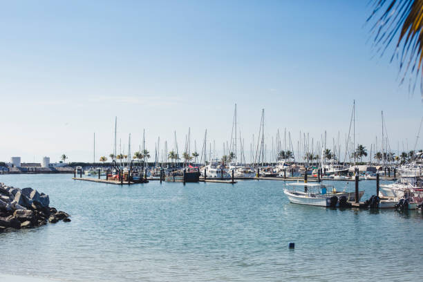 istock Mexican harbor in La Cruz de Huanacaxtle 917101598