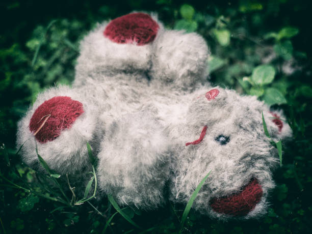 istock Abandoned old white bear doll left on green yard 917101976