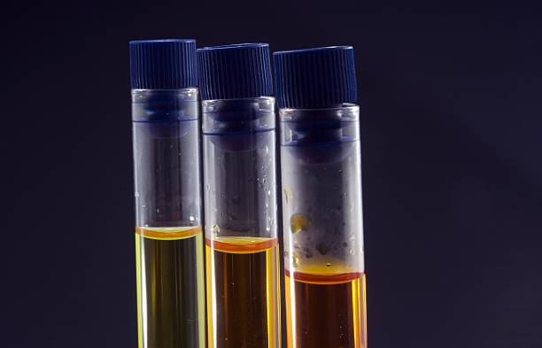 Test tube stock photo